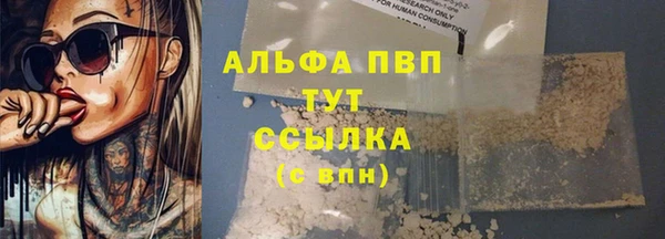 СК Абинск