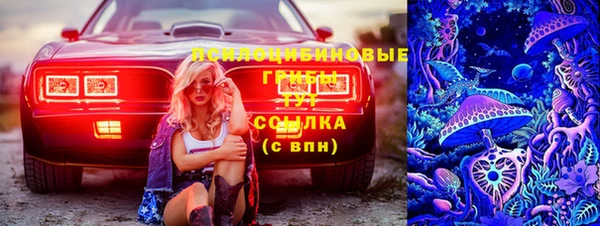 СК Абинск