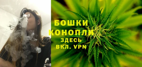 амф Касимов