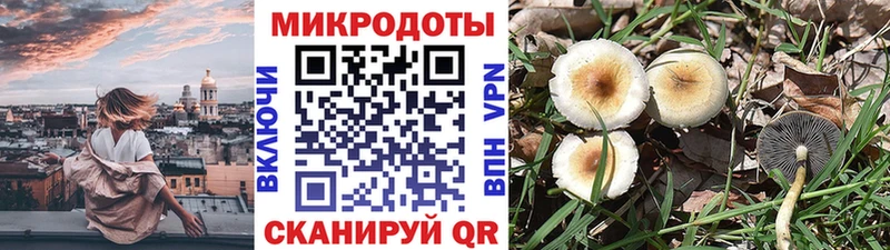Галлюциногенные грибы Magic Shrooms  mega ссылки  Нижневартовск 